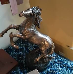 Meet your Posher, Gus